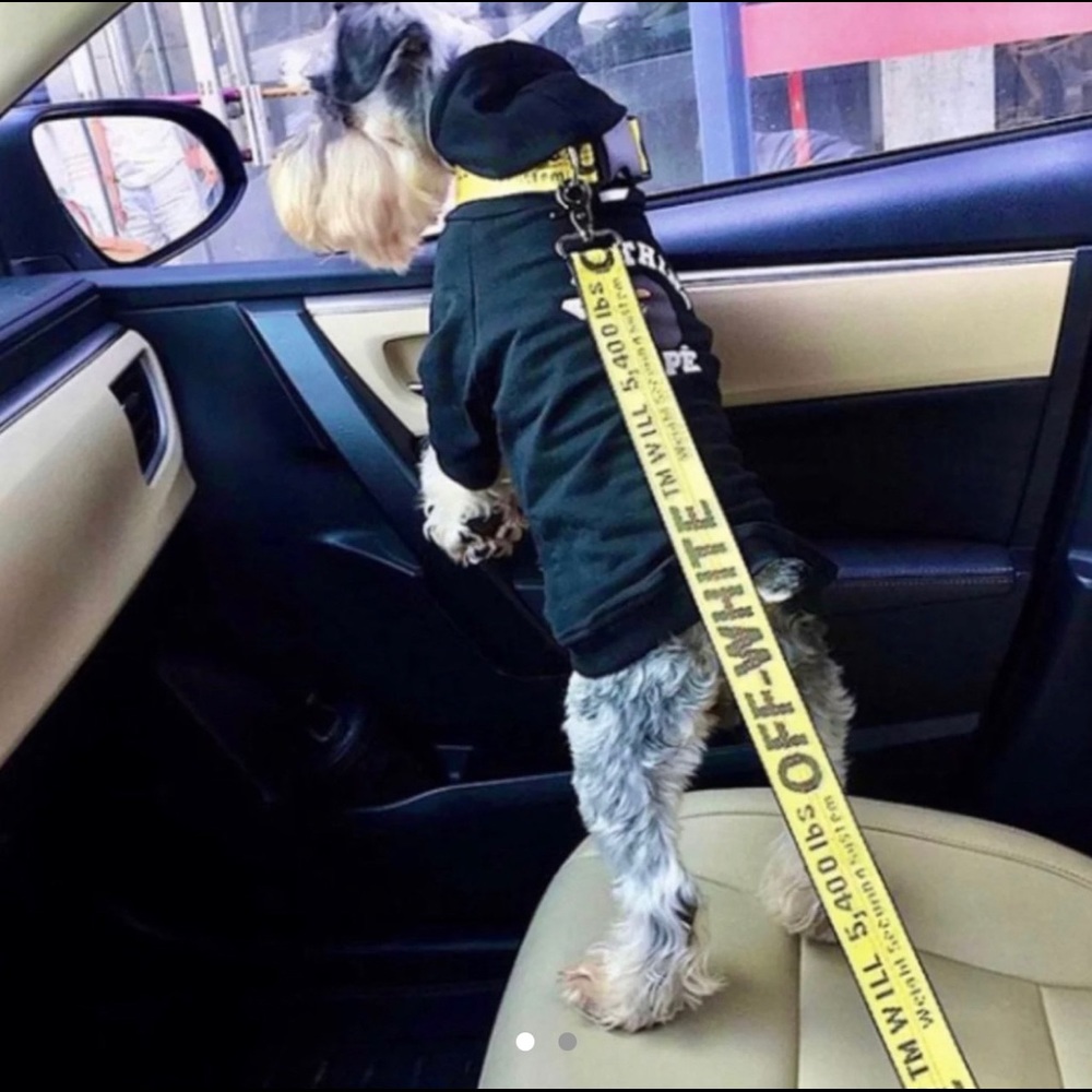 Dog leash